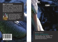 Drug Pelikana Vasilij Bittibal'di Taschenbuch Russisch 2014 Ean 9783659994548