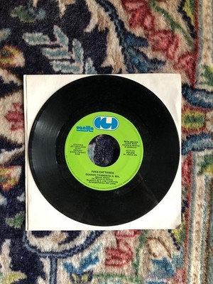 Vinyl LP 45 Runden 7'' - Wenn die Sonne untergeht Ivan Cattaneo - You Take Me Up