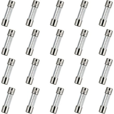 Sicherung Glas T10AL250V 10A 250V 20 Stück langsam schmelzend Halter