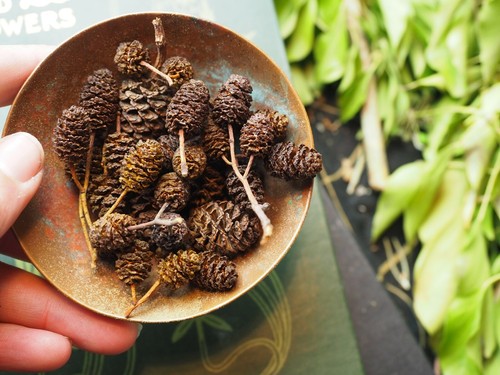 Herbs, Spices & Resins for Incense & Spell Making - Wicca, Pagan, Witchcraft - Picture 14 of 352