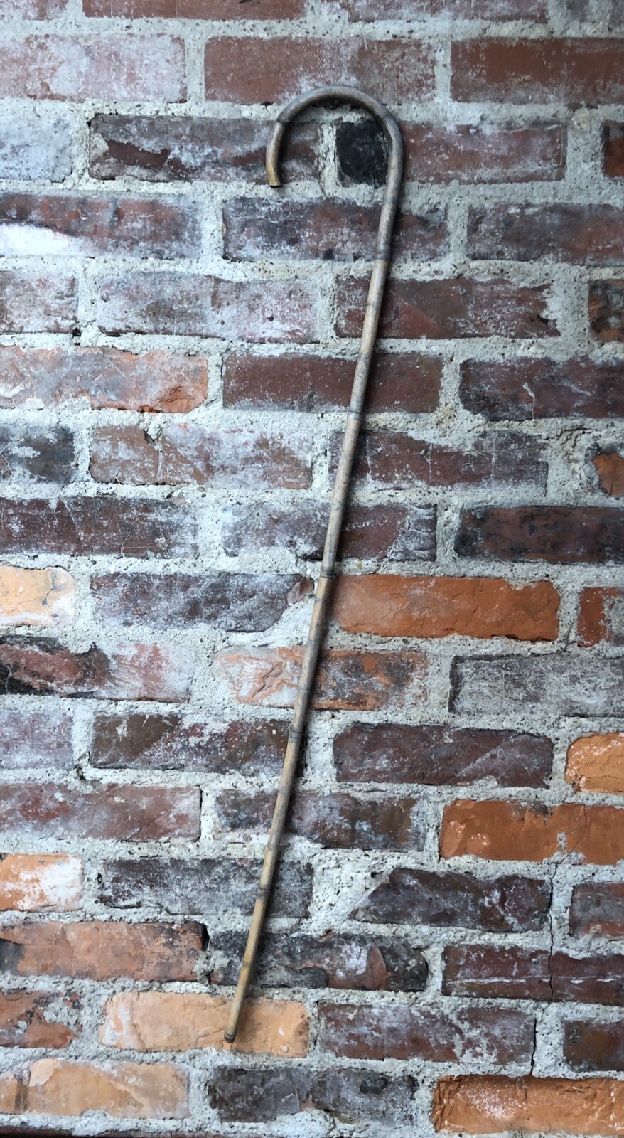 Vintage Carnival BAMBOO CANE Circus Old Weathered WA… Gem