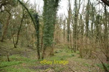 Photo 6x4 Archer Wood Battle/TQ7416  c2021