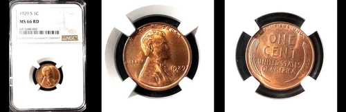 1929-S 1C NGC MS66RD (PURE RED)-POP 10 & ONLY 6 FINER-PQ LINCOLN WHEAT SMALL CE
