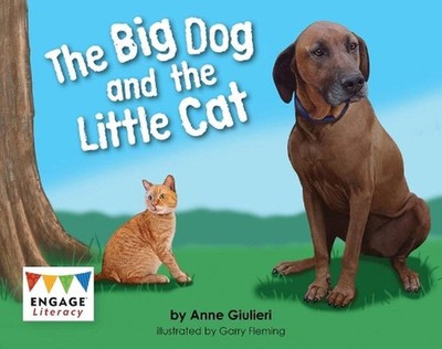 The Big Dog and the Little Cat by Anne Giulieri Paperback Book