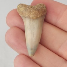 Mako 0.00
