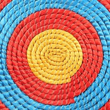 Disco da tiro ad arco professionale VEVOR 508 MM, realizzato a mano in...