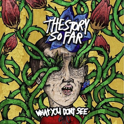 THE STORY SO FAR WHAT YOU DON'T SEE NEW LP