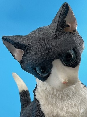 Wonderful Polyresin Blue Eye Tuxedo Cat Looking in a Bucket Planter/Trinket Dish