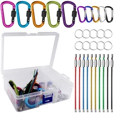 10 Pack Aluminum D-Ring Carabiners, D Shape Keychain Clips Hook Spring-Loaded...