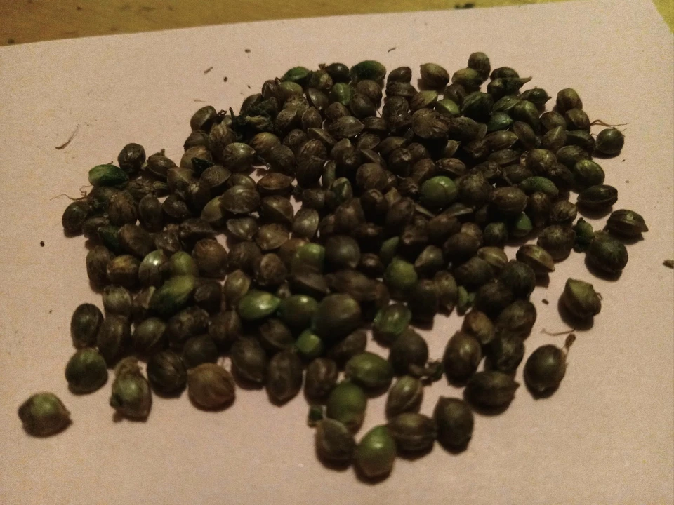 4oz STS/ Silver Thiosulfate  Spray-Please Read Description - Image 3 of 3