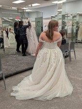 Size 14 Lace/tulle wedding dress -David’s Bridal
