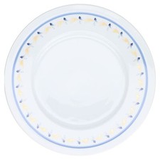 Speiseteller Fürstenberg Form 683 Herzog Ferdinand Anna Amalia 3504