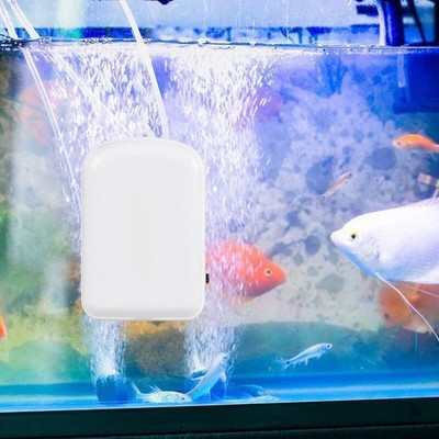 Tragbare Solar Luftpumpe 5W mit für AKKU zum Angeln im Freien für Aquarium