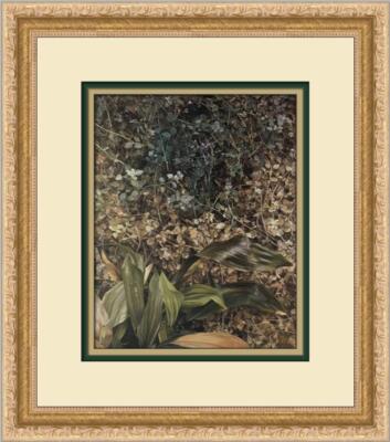 Lucian Freud Two Plants Custom Framed Print 