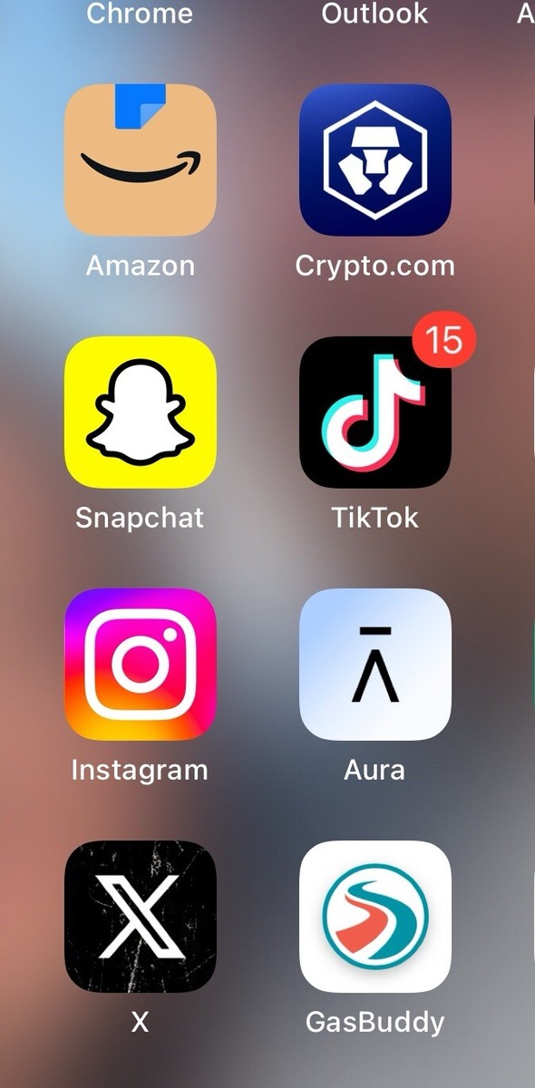 TIK TOK Apple iPhone 14 Pro Max 256GB Deep Purple Unlocked