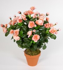 Azalee 40cm salmon / lachs im Topf ZF Kunstpflanze Kunstblumen künstliche Blumen