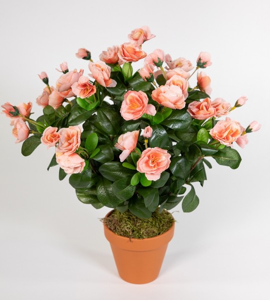 Azalee 40Cm Salmon / Lachs Im Topf Zf Kunstpflanze Kunstblumen KüNstliche Blumen-image
