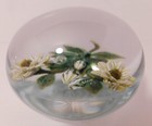 A Dazzling Signed William Manson 2 Yellow & Gray Wild Roses ArtGlass Paperweight — photo 3