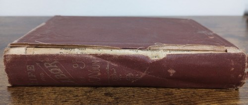 1881 Life & Labors of the Late Alexander Anderson Young of Missouri - Foto 2 di 21
