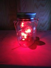 Solar 20 Led Lights Mason Jarlidhandle Red Blue Green Pink Clear Multi