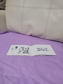 Nintendo NES Vintage 1990 The Mafat Conspiracy Game Manual Only