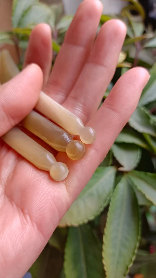 Tabla de raspar cuerno natural herramienta de belleza herramienta de masaje facial juego de 2 piezas Foto 3 de 4