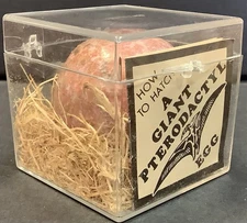 Vintage 1976 Candy How To Hatch A Giant Pterodactyl Egg in Box Penny Arcade Case