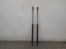 Puntales puerta trasera maletero Fiat 500 MK1 2007-2025 