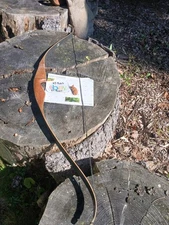 Vintage Bear Archery  Grizzly recurve 50# 1972 needs refinish