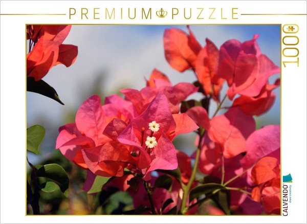 Calvendo Puzzle Bougainvillea | 1000 Pieces, Finished Size 25.2 × 18.9 In (64 ×-image
