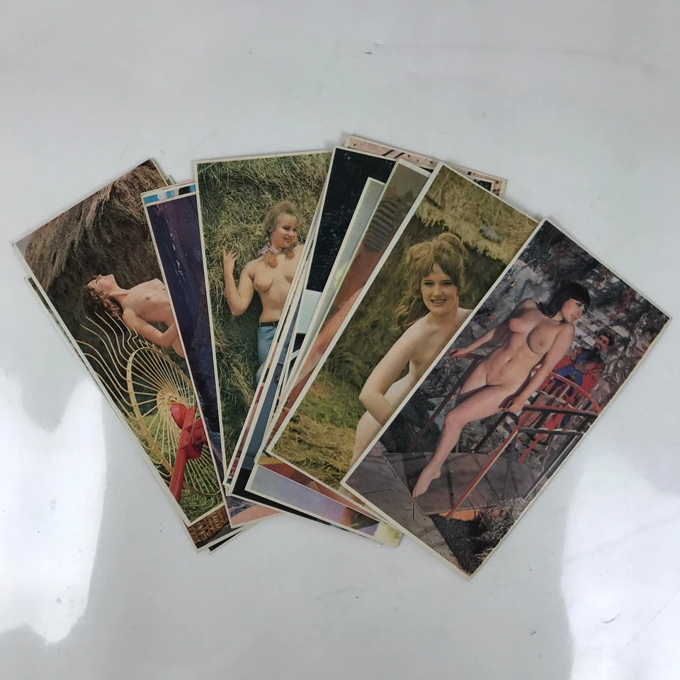 Disco japonés Shunga Ukiyoe impresión en madera reproducción arte erótico de colección FL407 Foto 3 de 4