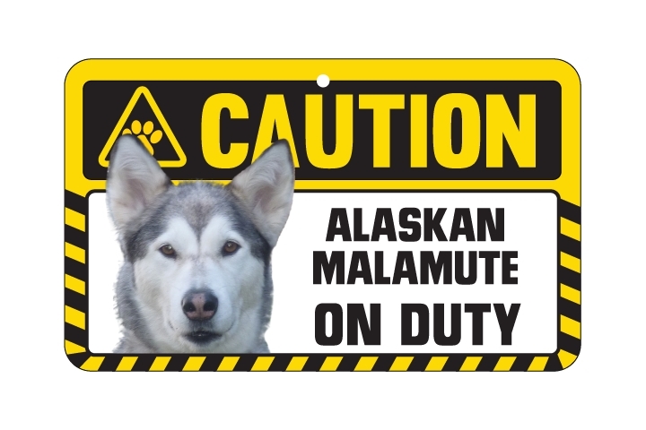 Dog Sign Caution Beware - Alaskan Malamute