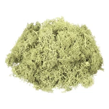 3oz Preserved Reindeer Moss, Light Bright Green Decorative Artificial Fake Moss