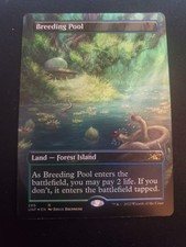 Breeding Pool (Borderless) Unfinity Foil
