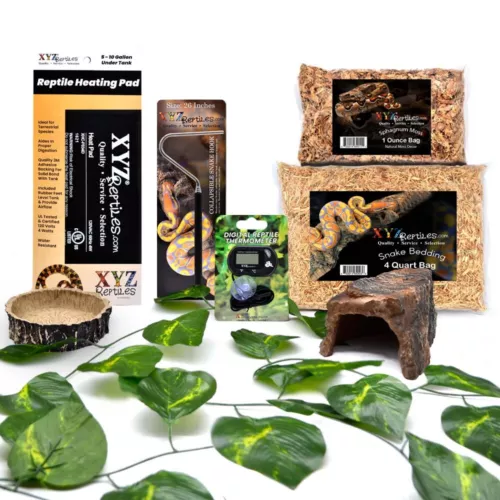 Corn Snake Habitat 10 Gallon Terrarium Baby Snake Starter Kit XYZReptiles