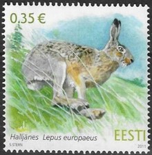 Rabbit Fauna Brown Hare Lepus Europaeus Estonia Estland Mint MNH Stamp 2011