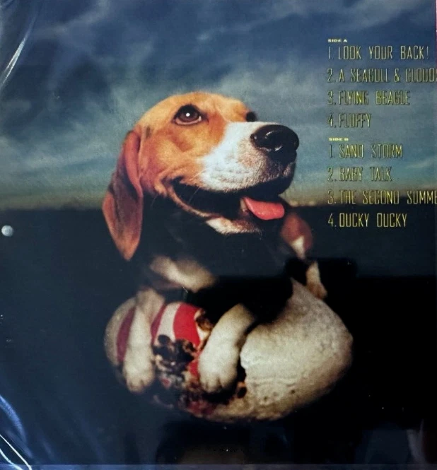 Himiko Kikuchi FLYING BEAGLE Limited Edition Blu-spec CD2 from Japan Foto 2 de 4