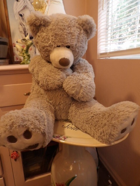 Hina Teddy bear シャンパン色 28cm 限定版 HugFun International Size 28” Teddy Bear Plush Kow Loon