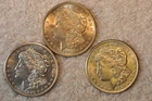 1921 P-D-S    THREE  BU MORGAN DOLLARS