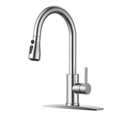 ANZA Pull Down Kitchen Faucet Brushed Nickel 1-Handle Sprayer Deck Plate