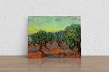 Vincent van Gogh "Olive Grove" Canvas Print Wall Art Home Decor