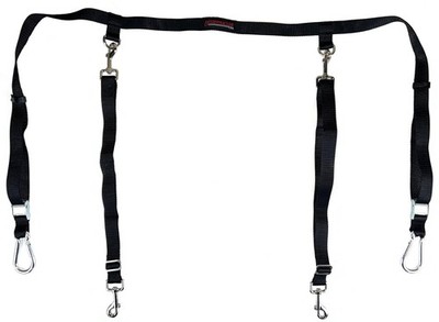 Bushwhacker Truck Bed Dog Leash for 2 Two Dogs Adjustable Tether Tie Out Harness