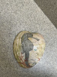 Decoupaged Shells Two Sided