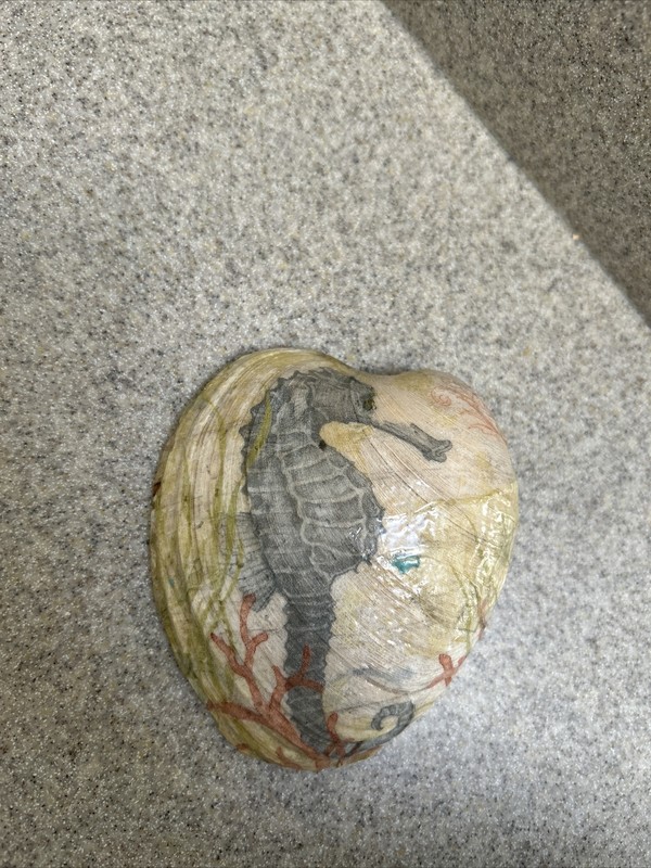 Decoupaged Shells Two Sided