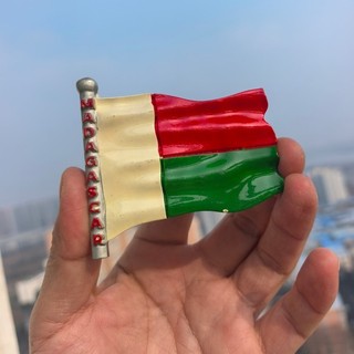 Madagascar Flag Fridge Magnets