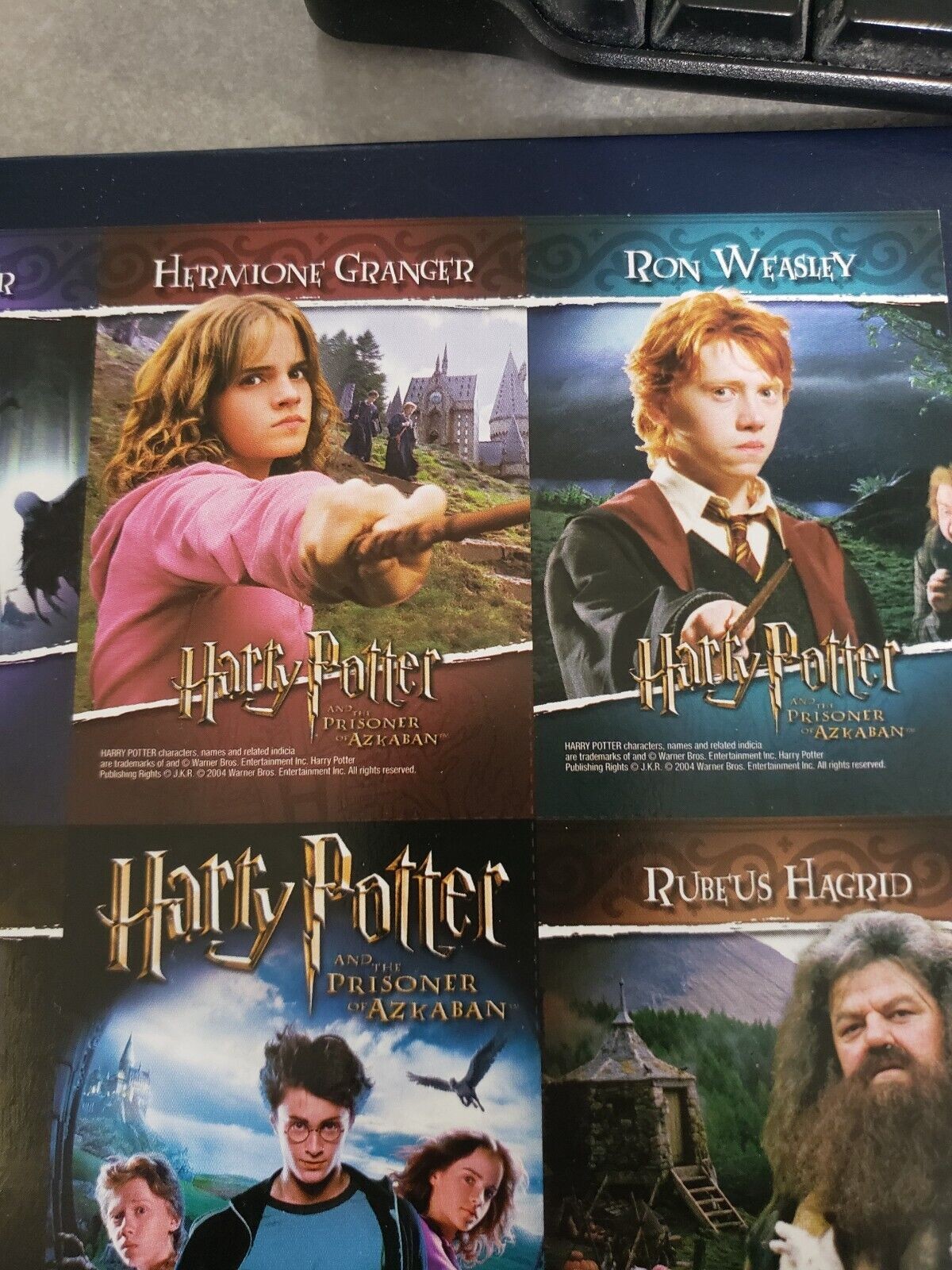 Harry Potter Hermione Granger Sirius Black Ron Weasley Rubeus Hagrid Dumbledore.