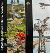 ASSATEAGUE ISLAND SEASHORE  NATIONAL PARK SERVICE UNIGRID BROCHURE/MAP  GPO 2024