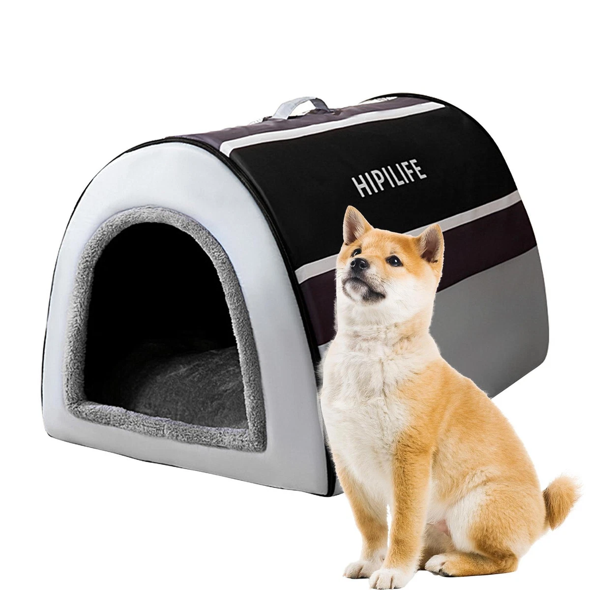 Warm dog house for cheap winter