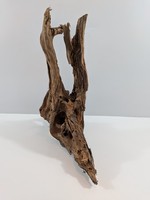 Mangrovenwurzel #01 (Lbh Ca. 43 Cm X 15 Cm X 53 Cm)