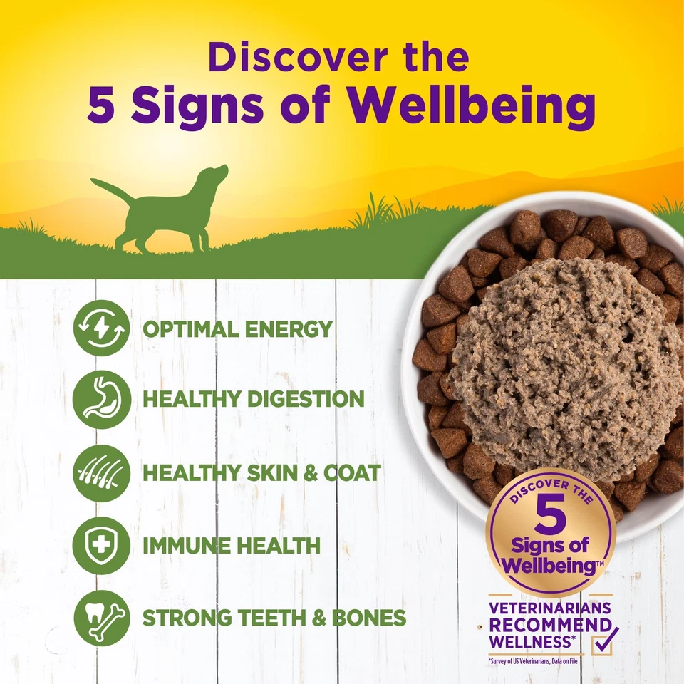 Wellness cordero batata comida húmeda para perros paquete de 12 nutrientes naturales ricos en granos Foto 3 de 4